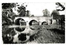 CPSM 89 NOYERS VIEUX PONT SUR LE SEREIN - Neuvy Sautour