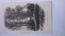 Carte Postale (E9) Ancienne De Verdun Sur Garonne , Grande Allée - Verdun Sur Garonne