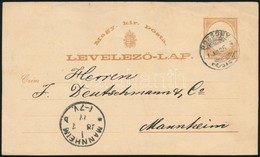 1877 - Andere & Zonder Classificatie
