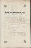 1850 Bírósági ítélet Sopronban Kelt, H?gyészi H?gyészy Pál Aláírásával, Papírfelzetes Viaszpecséttel - Unclassified