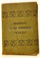 1911-1929 Budapest, A M. Kir. Bábaképz? Intézet Oklevele Bába Részére + Bizonyítvány Ismétl? Bábatanfolyam Elvégzésér?l, - Unclassified