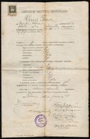 1912 Debreceni Református F?gimnázium Gimnáziumi érettségi Bizonyítványa, Karai Sándor (1859-1936) Igazgató, és Neves Ta - Unclassified