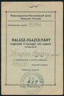 1944 Halász-igazolvány, Fényképpel, Balassagyarmat-Rárosmulyadi Ipolyi Halászati Társulat - Unclassified