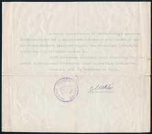 1945 Bp., Miniszteri Osztályf?nöki Kinevezés, Bélyegz?vel, Dálnoki Miklós Béla Miniszterelnök Aláírásval - Unclassified