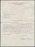 Julius Von Pia (1887-1943 ) Osztrák Geológus, Paleontológus,   Saját Kézzel írt Levelez?lapja  Szörényi Erzsébet (1904-1 - Non Classés