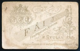 Cca 1880-1900 Gyula, Hölgy M?termi Portréja Fái János Fényképészeti M?terméb?l, Keményhátú Fotó, 10,5x6,5 Cm - Andere & Zonder Classificatie