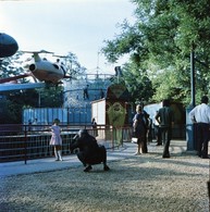 Cca 1960 A Vidámparkban Készült Privát Felvételek, 11 Db Szabadon Felhasználható Vintage Negatív, 6x6 Cm és 24x36 Mm - Andere & Zonder Classificatie