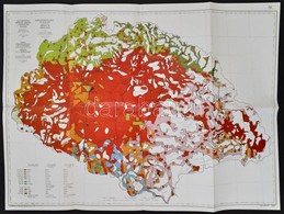 Magyarország Néprajzi Térképe Néps?r?ség Alapján, Az 1920-as Térkép Modern Reprintje, Kis Szakadással, A Hátoldalán Javí - Altri & Non Classificati