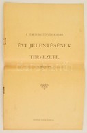 1902 A Temesvári Ügyvédi Kamara évi Jelentésének Tervezete. 12p. - Ohne Zuordnung