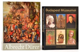 Vegyes Könyvtétel, 2 Db: 
Heinz Lüdecke: Albrecht Dürer. Bp.,1978,Corvina. Kiadói Egészvászon-kötés, Kiadói Kissé Szakad - Zonder Classificatie