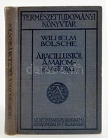 Wilhelm Bölsche: A Bacillustól A Majomemberig. Fordította Dr. Pogány József. Természettudományi Könyvtár. Bp, 1910, Athe - Non Classés