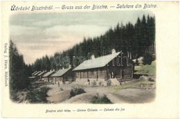 * T2/T3 Bisztra, Bistra; Alsó Telep. J. Hintz Kiadása / Untere Colonie / Colonia Din Jos / Lower Colony (EK) - Non Classés