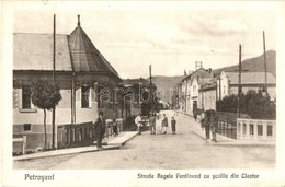 * T2/T3 Petrozsény, Petrosani; Ferdinánd Király Utca, Iskolák / Strada Regele Ferdinand Cu Scolile Din Claster / Street  - Non Classificati