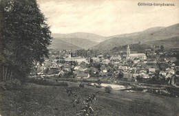 T2/T3 Gölnicbánya, Gelnica, Bergstadt Gölnitz; Látkép, Kiadja Feitzinger Ede / General View (EK) - Zonder Classificatie