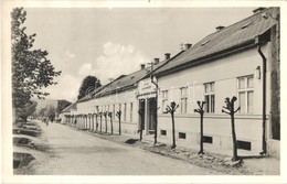 ** T1/T2 Pels?c, Pelsücz, Plesivec; Utcakép A Gyógyintézettel / Spa Sanatorium, Street View - Ohne Zuordnung