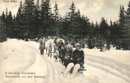 T2/T3 1912 Tátra, Tatry; A Bobsleigh Felvontatása Lószánnal Télen. Feitzinger Ede 1007. / Hinauffahren Mit Dem Bobsleigh - Unclassified