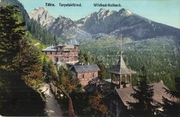 ** T1/T2 Tátra, Tarpatakfüred, Wildbad Kohlbach; Cattarino S. Utóda Földes Samu Kiadása 163. - Non Classificati