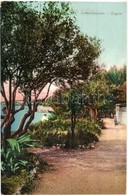 ** T1/T2 Mali Losinj, Lussinpiccolo; Cigale / Promenade - Non Classés