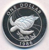 Bermuda 1986. 1$ Ag 'Tengeri Tekn?s' T:PP Ujjlenyomat, Felületi Karc
Bermuda 1986. 1 Dollar Ag 'Sea Turtle' C:PP  Slight - Unclassified