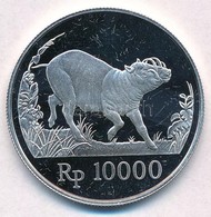 Indonézia 1987. 10.000R Ag 'Babirussza' T:PP Felületi Karc
Indonesia 1987. 10.000 Rupiah Ag 'Babirusa' C:PP Slightly Scr - Zonder Classificatie