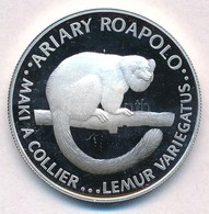 Madagaszkár 1988. 20A Ag 'Lemúr' T:PP Ujjlenyomat, Felületi Karc
Madagascar 1988. 20 Ariary Ag 'Lemur' C:PP Fingerprint, - Zonder Classificatie