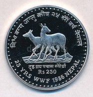 Nepál 1986. 250R Ag '25 éves A WWF' T:PP Ujjlenyomat
Nepal 1986. 250 Rupees Ag '25th Anniversary Of The World Wildlife F - Zonder Classificatie