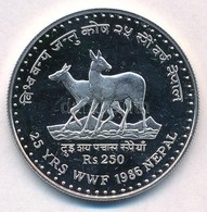 Nepál 1986. 250R Ag 'Pézsmaszarvas' T:PP Felületi Karc
Nepal 1986. 250 Rupees Ag 'Musk Deer' C:PP Slightly Scrachted
Kra - Non Classés