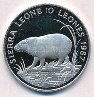 Sierra Leone 1987. 10L Ag 'Törpe Víziló' T:PP Ujjlenyomat, Felületi Karc
Sierra Leone 1987. 10 Leones 'Pygmy Hippopotamu - Non Classés
