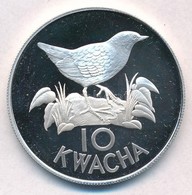 Zambia 1986. 10K Ag 'Fehérszárnyú Bolyhosfarkúmadár' T:PP Felületi Karc
Zambia 1986. 10 Kwacha Ag 'Whitewinged Flufftail - Ohne Zuordnung