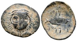 124 GADES. Calco. 300-200 A.C. Cádiz. A/ Cabeza Frontal De Melkart Con Piel De León. R/ Atún A Derecha, A Ambos Lados Le - Otros & Sin Clasificación