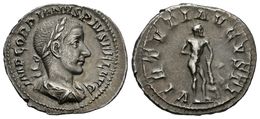 289 GORDIANO III. Denario. 238-244 D.C. Roma. A/ Busto Laureado Y Drapeado Con Coraza A Derecha. IMP GORDIANVS PIVS FEL  - Republic (280 BC To 27 BC)