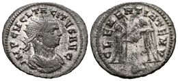 319 TACITO. Antoniniano. 275-276 D.C. Ticinum. A/ Busto Radiado Y Con Coraza A Derecha. IMP C M CL TACITVS AVG. R/ Emper - República (-280 / -27)