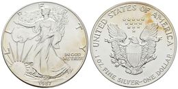 813 ESTADOS UNIDOS. Dollar. 1987. Km#273. Ar. 31,53g. SC. - Andere & Zonder Classificatie