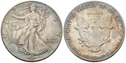 814 ESTADOS UNIDOS. Dollar. 1987. Km#273. Ar. 31,52g. Tono Irisado. SC. - Sonstige & Ohne Zuordnung