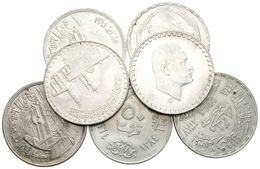 917 EGIPTO. Lote Compuesto Por 7 Monedas De 1 Pound, Diferentes Tipos Ar. EBC/SC. - Other & Unclassified