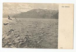 Suisse Genève Lac Léman Mouettes N 11908 - Genève