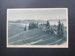 Delcampe - AK Österreich 1920 Pfänder Bei Bregenz. Gasthaus Pfänder Dohle Bei Bregenz. - Hotels & Gaststätten