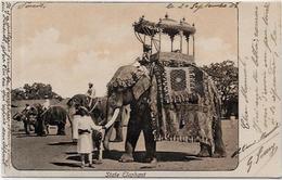 CPA éléphant ELEPHANT écrite Inde India - Elefanti