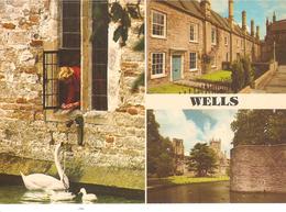 CP ANGLETERRE SOMERSET WELLS MULTIVUE CATHEDRALE SWAN CYGNE - Wells