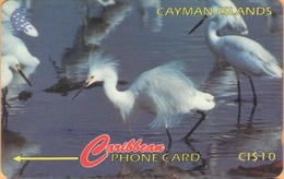 Cayman Island - CAY-13C, GPT, 13CCIC, Snowy Egret, Birds, 10 $, 25.000ex, 1995, Used - Cayman Islands