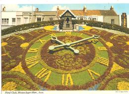 CP ANGLETERRE SOMERSET WESTON SUPER MARE AVON FLORAL CLOCK HORLOGE FLEURIE  NON ECRITE - Cheddar