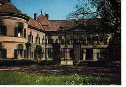 Delcampe - Le Chateau De COPPET Vu De La Terrasse Du Parc - Coppet
