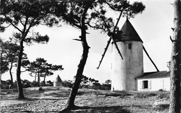 ¤¤  -  ILE De NOIRMOUTIER  -  Les Moulins De La Bosse   -  ¤¤ - Ile De Noirmoutier