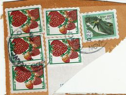 Brazil , Bresil , Brasil , 1997 , 2000 , Fruits  ,  Abacaxi , Papaia , Surf , Nova Igauçu  Postmark - Skateboard