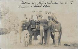 CP éléphant ELEPHANT écrite  Carte Photo RPPC Inde India ? - Elefanti