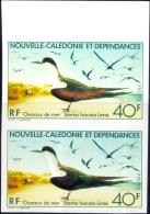 OCEAN BIRDS-SOOTY TERN-IMPERF PAIR (ERROR) WITH STAMP & DELUX PROOF-NEW CALEDONIA-1978-SCARCE-MNH-PA3-11 - Albatros