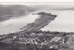 SUISSE,SCHWEIZ,SVIZZERA,SWITZERLAND,HELVETIA,SWISS ,BERNE,erlach,CERLIER,isl And,ile Saint Pierre,lac De Bienne,rare - Bienne