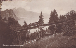 CARTE PHOTO,SUISSE,SCHWEIZ,SVIZZERA,HELVETIA,SWISS,SW ITZERLAND,LUCERNE,chemin De Fer Du RIGI,RIGIBAHN,RARE - Lucerne