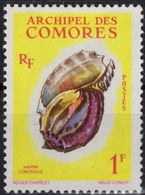 COMORES Poste  20 * MLH Coquillage Shell (CV 1,60 €) - Oblitérés