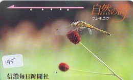 Dragonfly Libellule Libelle Libélula - Insect (195) - Altri & Non Classificati